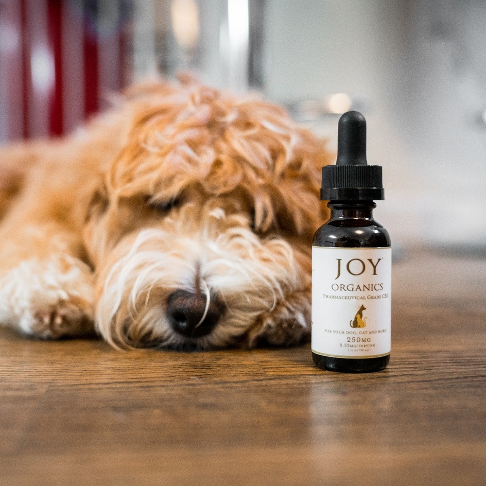 500mg Hemp Extract Oil for Dogs, Cats, Pets